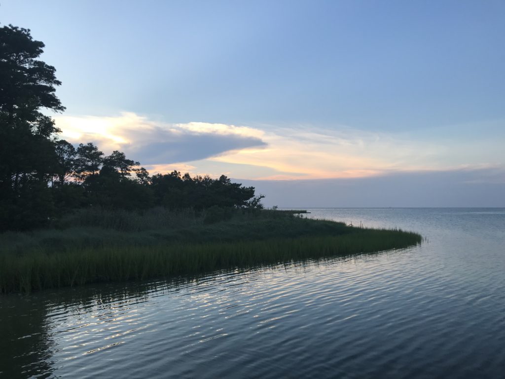 virginia-wading-low-tide-on-the-eastern-shore-canoe52